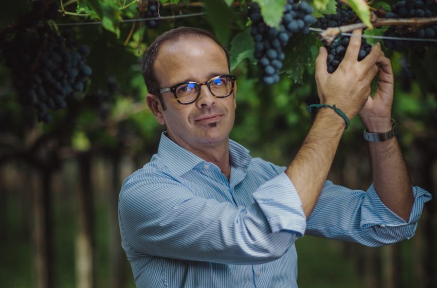  Cantina Tollo, Andrea Di Fabio è il nuovo direttore generale