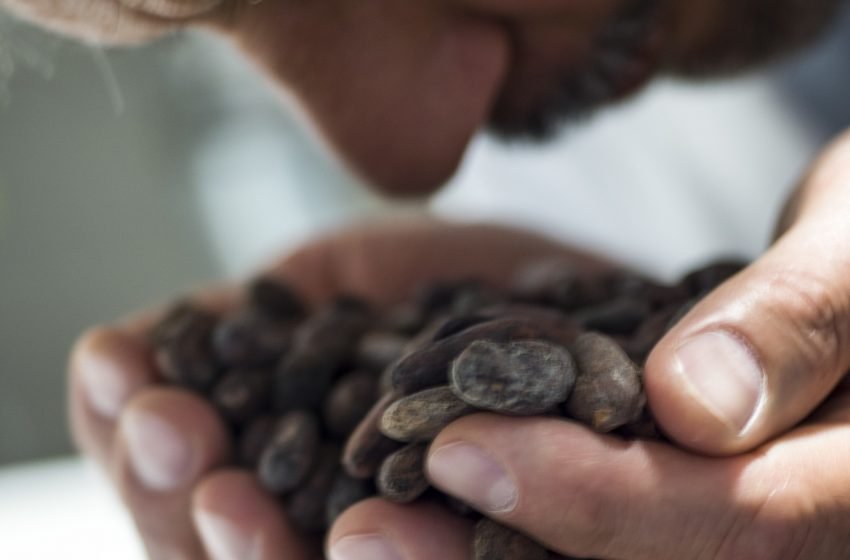  Gobino presenta il primo bilancio di sostenibilità