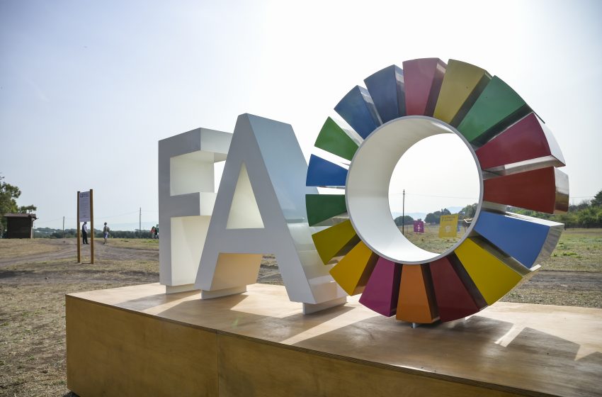  Dati Indice Fao: prezzi alimentari salgono dell’1,2%