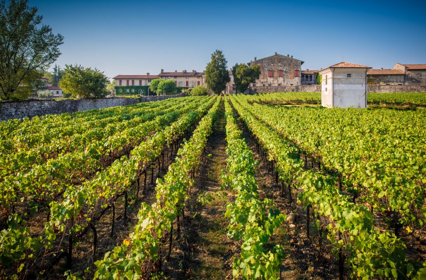  Ritorna il “Festival Franciacorta in Cantina”