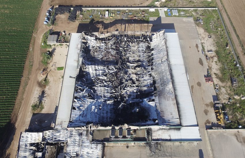  Foggia: dopo l’ incendio l’azienda BioOrto riparte