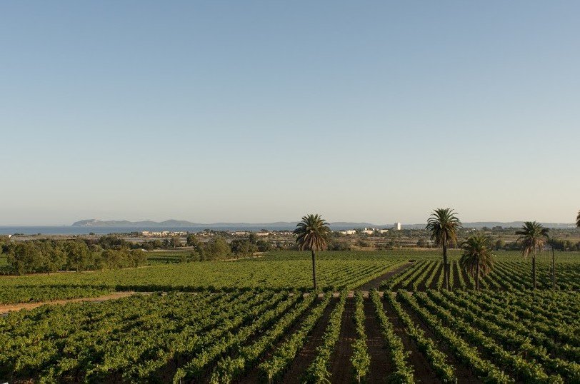  Vino: LVMH acquista il rosé Château du Galoupet