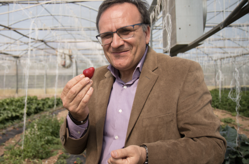  Natura Iblea è l’impresa agricola italiana con il miglior welfare aziendale