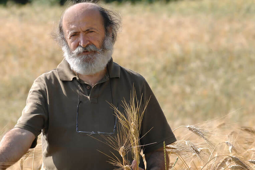  Dal seme alla pasta: Girolomoni inaugura il nuovo impianto di molitura