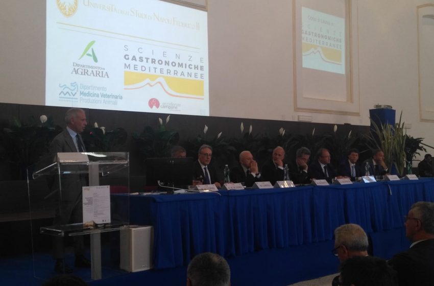  Eccellenze campane partner del primo corso in Scienze gastronomiche mediterranee