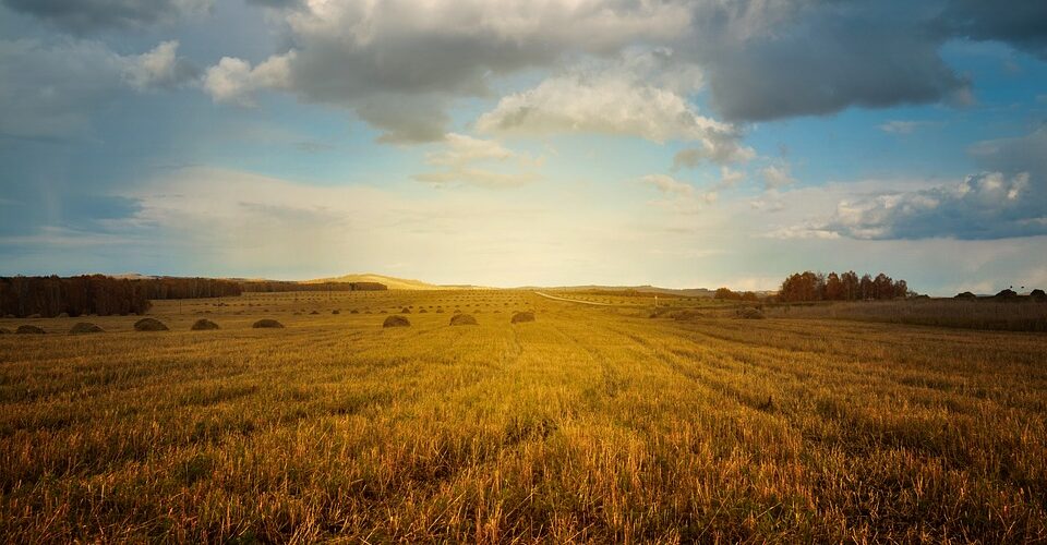  Intesa Sanpaolo sostiene le imprese agricole in difficoltà